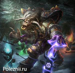 Шаман в World of Warcraft. Описание. Гайд для новичков.